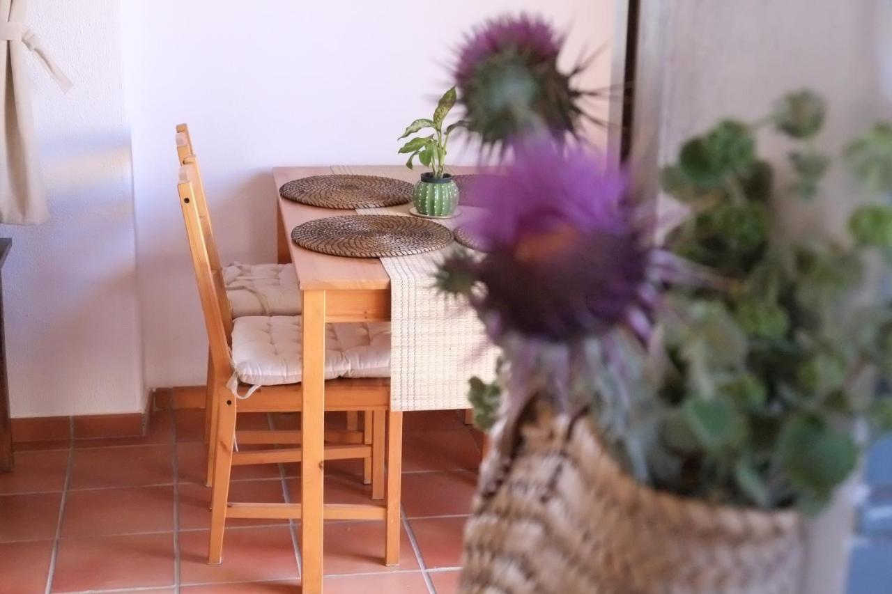 Cortijo La Ciclona Apartment Fernan Perez Екстериор снимка